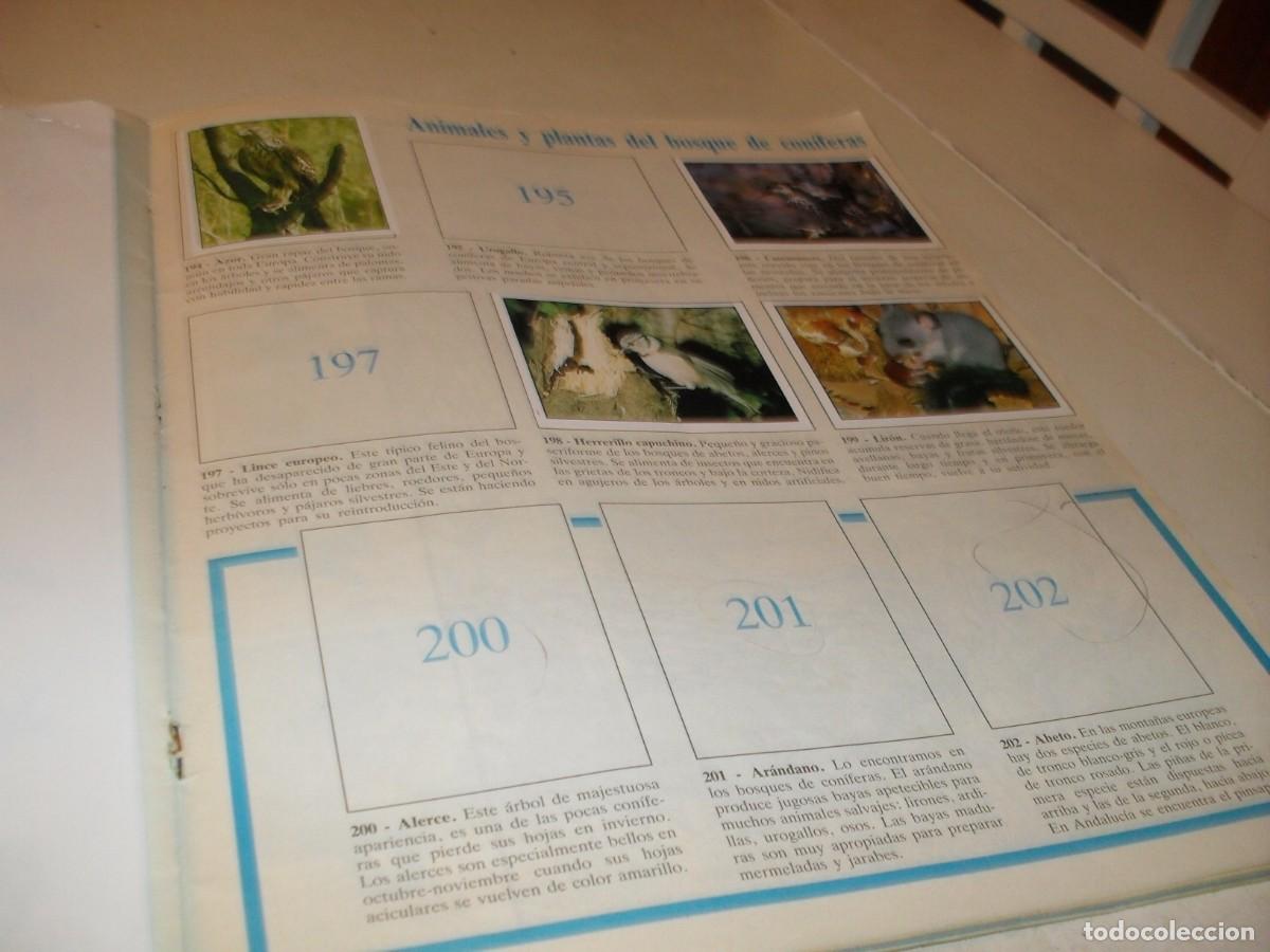 Coleccionismo cromos antiguos: LAMINA N&ordm; 27-28,CON 5 CROMOS(LEASE)DEL ALBUM PANINI NATURALEZA EN PELIGRO,1987