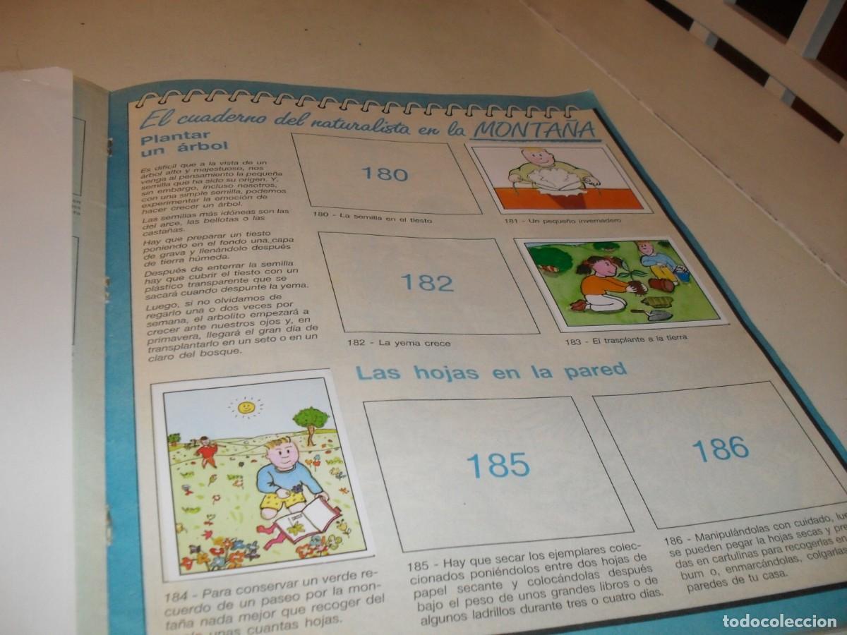 Coleccionismo cromos antiguos: LAMINA N&ordm; 25-26,CON 5 CROMOS(LEASE)DEL ALBUM PANINI NATURALEZA EN PELIGRO,1987
