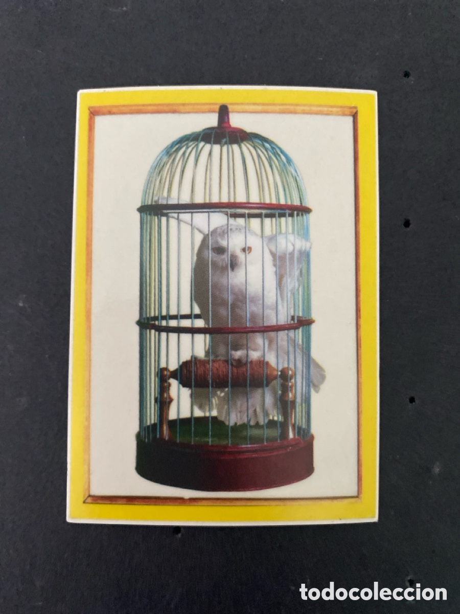Coleccionismo cromos antiguos: Cromo Harry Potter La c&aacute;mara secreta N* 13