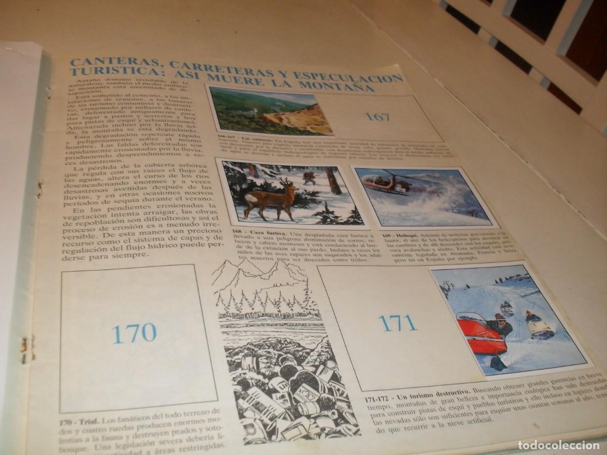 Coleccionismo cromos antiguos: LAMINA N&ordm; 23-24,CON 7 CROMOS(LEASE)DEL ALBUM PANINI NATURALEZA EN PELIGRO,1987