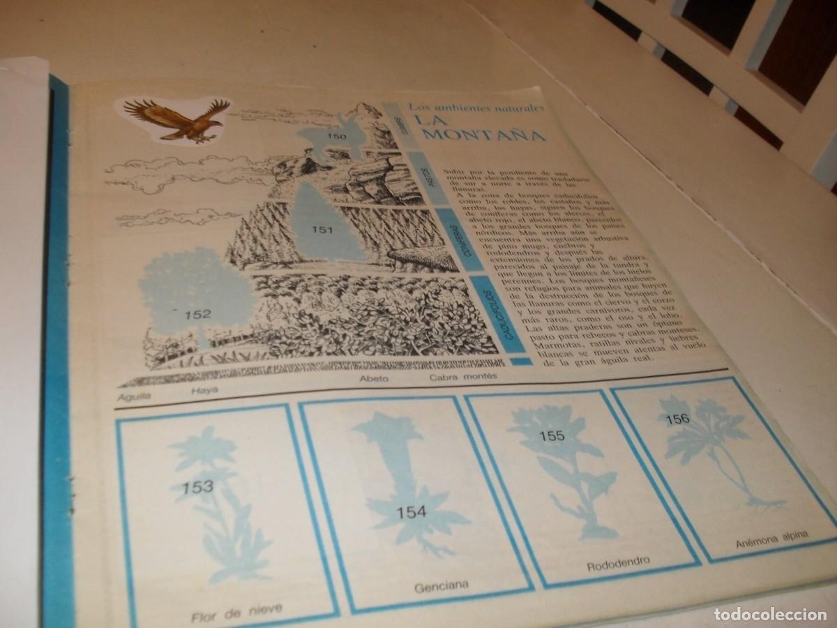 Coleccionismo cromos antiguos: LAMINA N&ordm; 21-22,CON 8 CROMOS(LEASE)DEL ALBUM PANINI NATURALEZA EN PELIGRO,1987