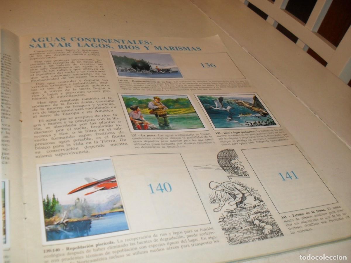 Coleccionismo cromos antiguos: LAMINA N&ordm; 19-20,CON 6 CROMOS(LEASE)DEL ALBUM PANINI NATURALEZA EN PELIGRO,1987