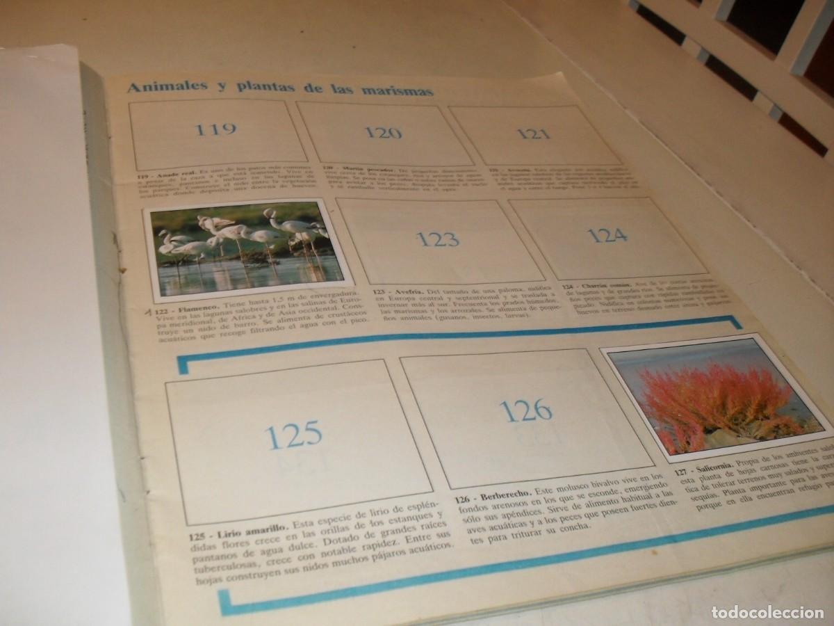 Coleccionismo cromos antiguos: LAMINA N&ordm; 17-18,CON 6 CROMOS(LEASE)DEL ALBUM PANINI NATURALEZA EN PELIGRO,1987