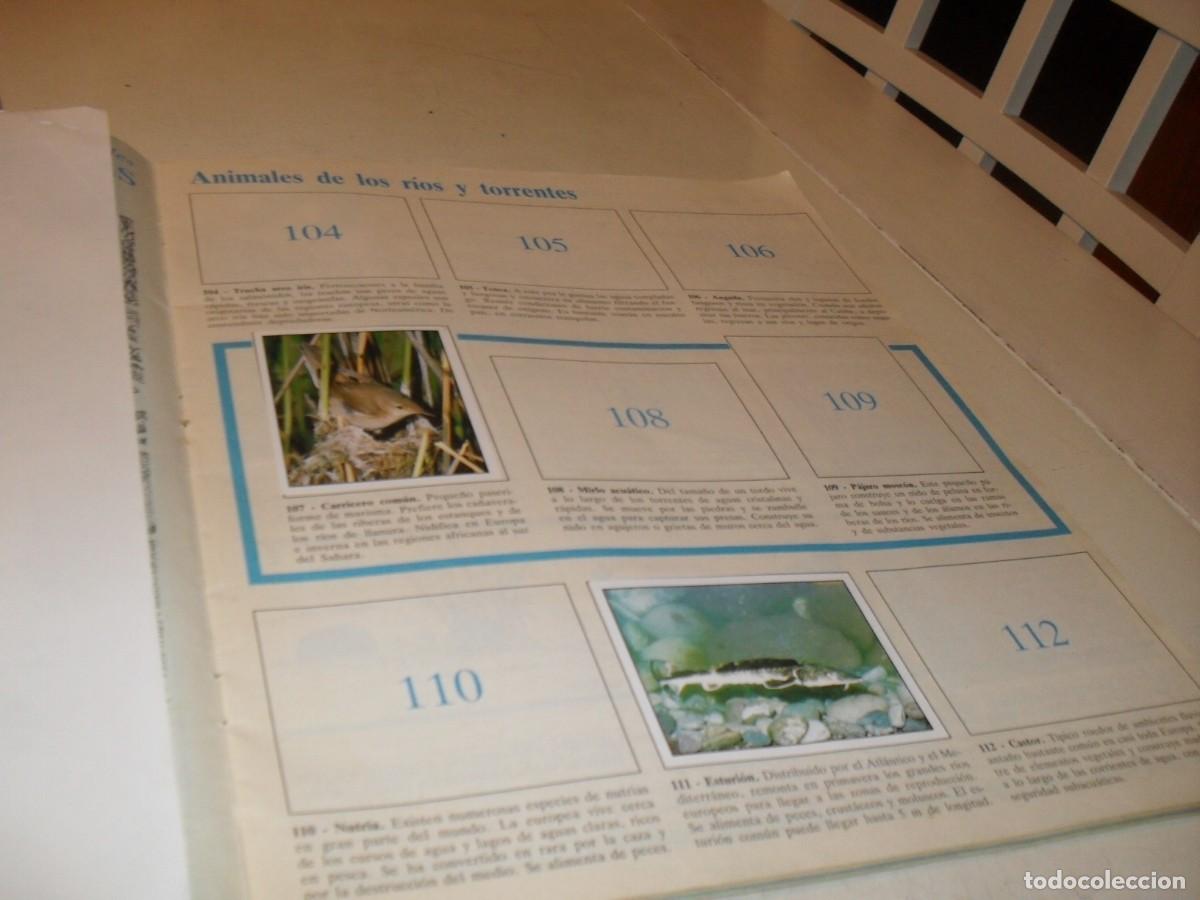 Coleccionismo cromos antiguos: LAMINA N&ordm; 15-16,CON 4 CROMOS(LEASE)DEL ALBUM PANINI NATURALEZA EN PELIGRO,1987
