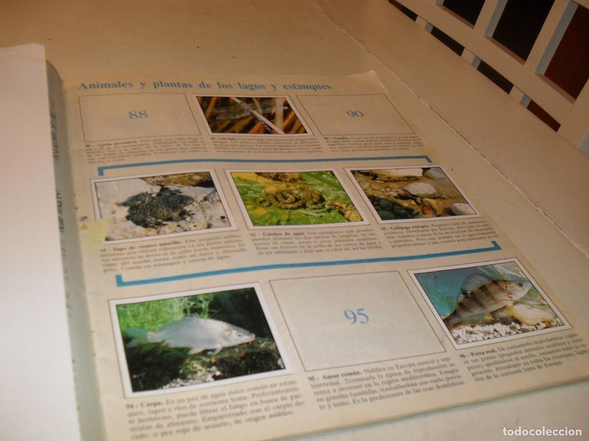Coleccionismo cromos antiguos: LAMINA N&ordm; 13-14,CON 8 CROMOS(LEASE)DEL ALBUM PANINI NATURALEZA EN PELIGRO,1987