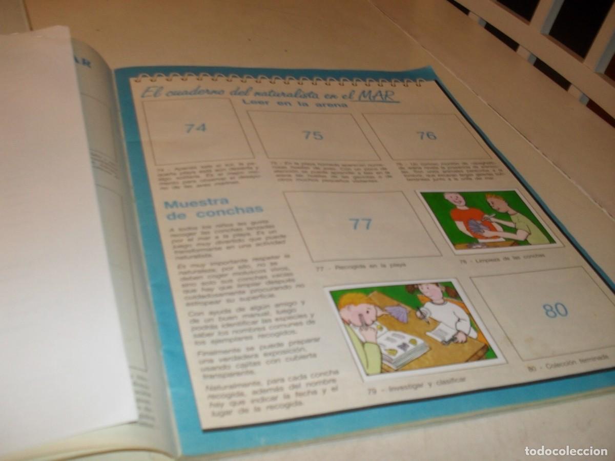 Coleccionismo cromos antiguos: LAMINA N&ordm; 11-12,CON 5 CROMOS(LEASE)DEL ALBUM PANINI NATURALEZA EN PELIGRO,1987