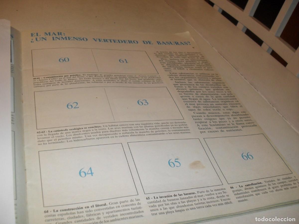 Coleccionismo cromos antiguos: LAMINA N&ordm; 9-10,CON 2 CROMOS(LEASE)DEL ALBUM PANINI NATURALEZA EN PELIGRO,1987