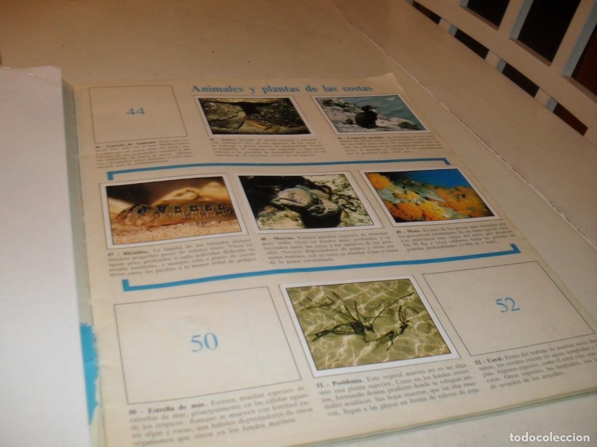Coleccionismo cromos antiguos: LAMINA N&ordm; 7-8,CON 8 CROMOS(LEASE)DEL ALBUM PANINI NATURALEZA EN PELIGRO,1987