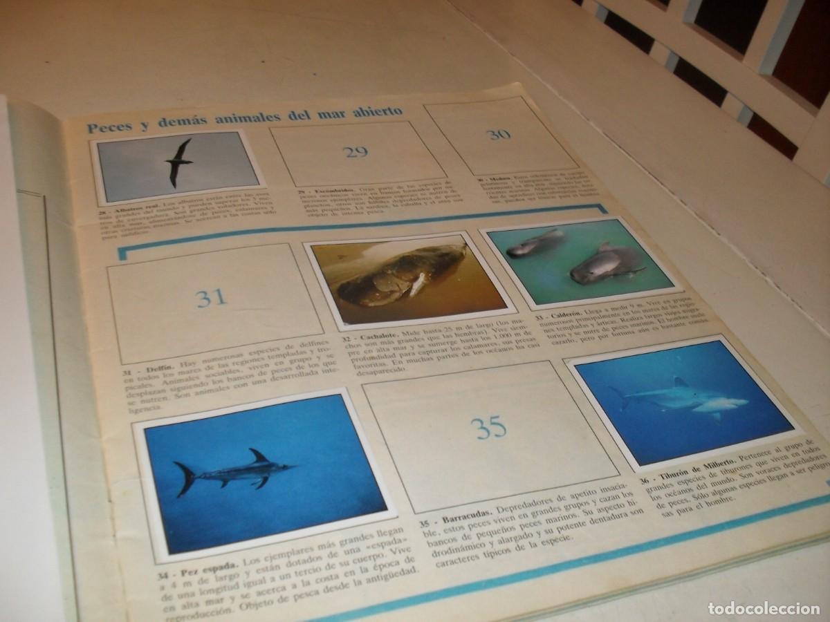 Coleccionismo cromos antiguos: LAMINA N&ordm; 5-6,CON 5 CROMOS(LEASE)DEL ALBUM PANINI NATURALEZA EN PELIGRO,1987