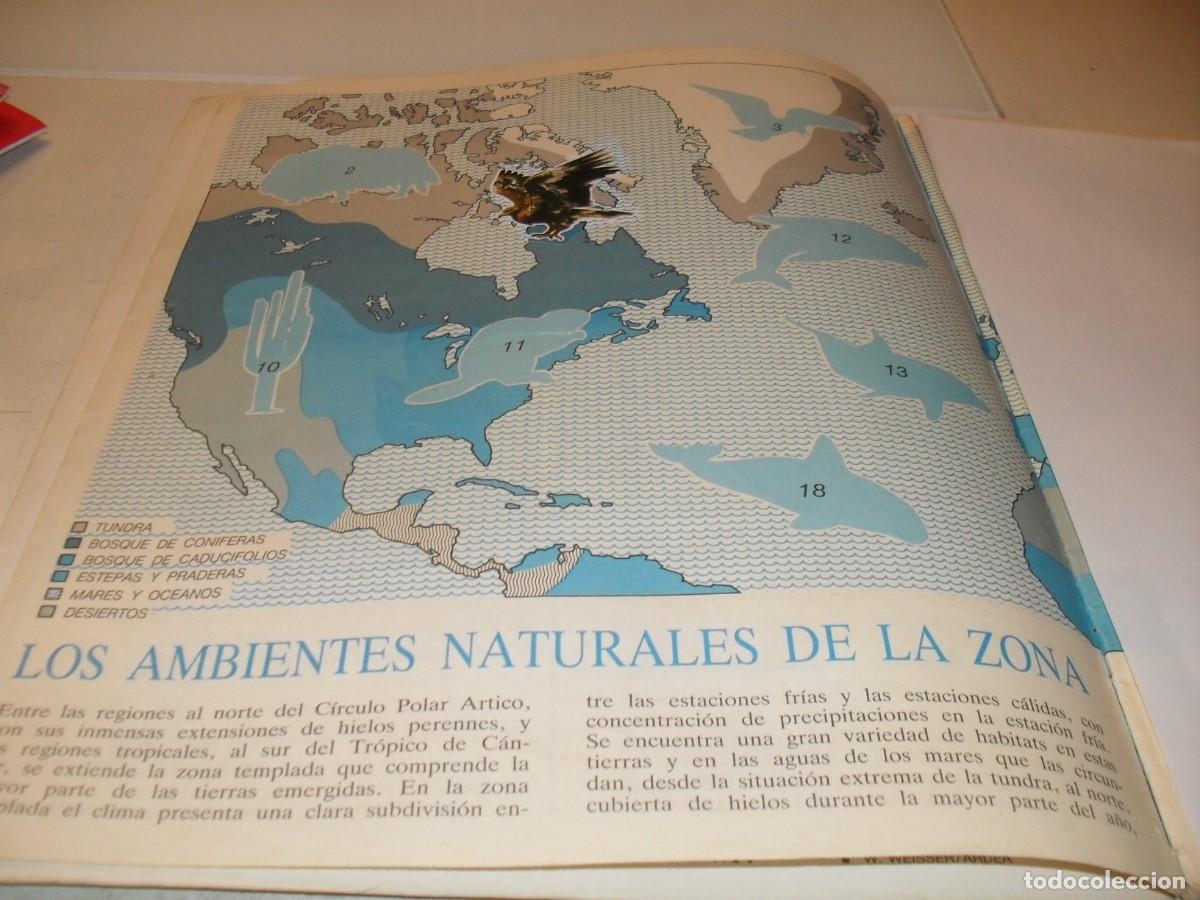Coleccionismo cromos antiguos: LAMINA N&ordm; 1-2,CON 1 CROMO,(LEASE)DEL ALBUM PANINI NATURALEZA EN PELIGRO,1987