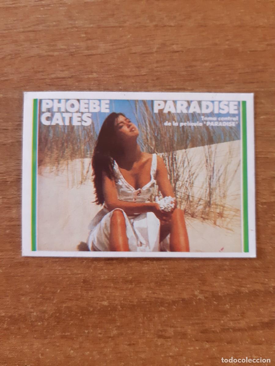 Coleccionismo cromos antiguos: N&deg;125 PHOEBE CATES PARADISE SHOW DE ESTRELLAS ED. MAGA 1982. NUNCA PEGADO, SIN PEGAR