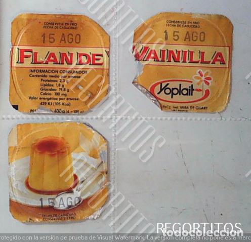 Collectable Antique Stickers: TAPA TAPAS DANONE YOGURTH YOGUR YOGURES TAPADERAS FLAN DE VAINLLA YOPLAIT