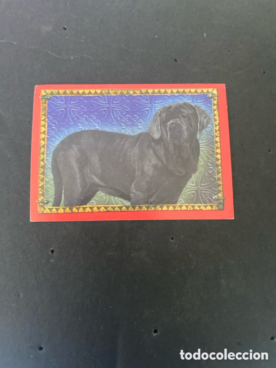 Coleccionismo cromos antiguos: Cromo Harry Potter La c&aacute;mara secreta N* H 39