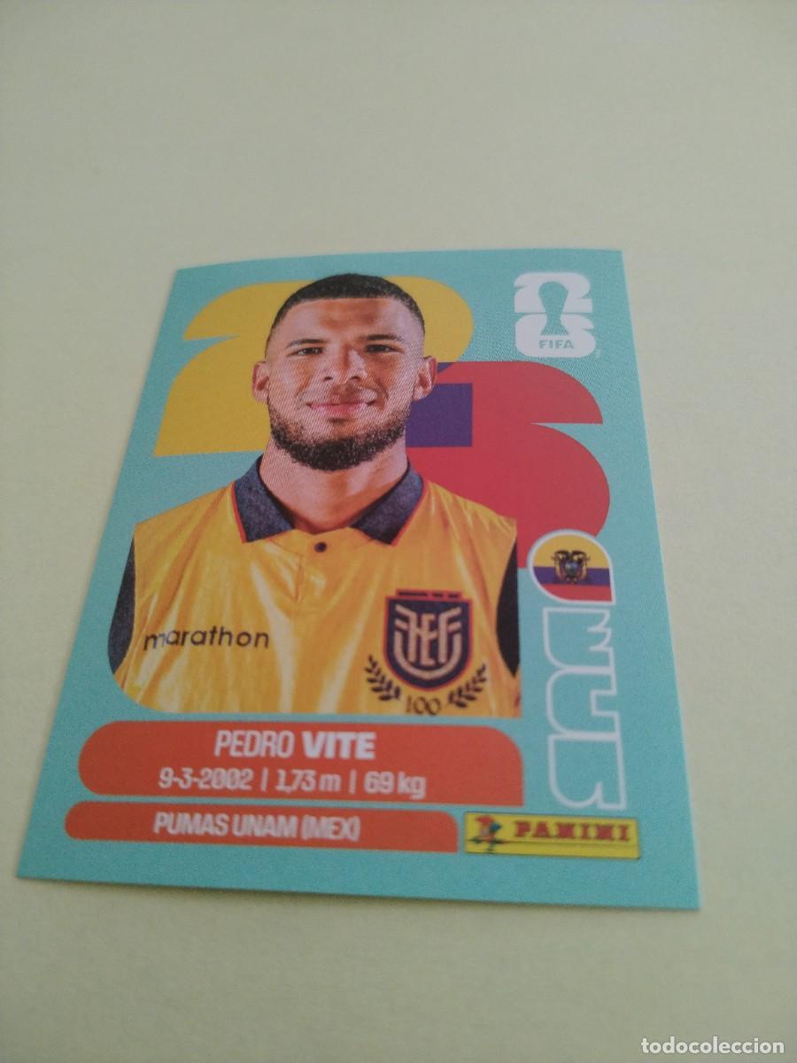 Coleccionismo cromos antiguos: CROMO MUNDIAL 2026 - ECUADOR ECU 12