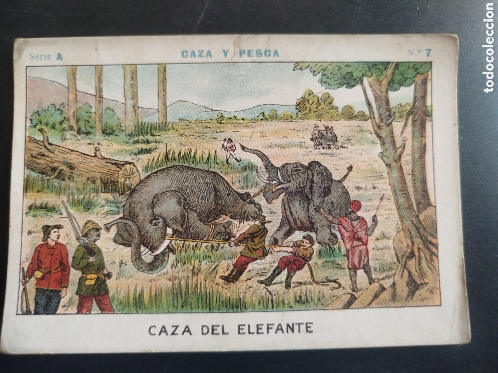 Coleccionismo cromos antiguos: Caza y pesca, serie A, n. 7, Barons y Artigas