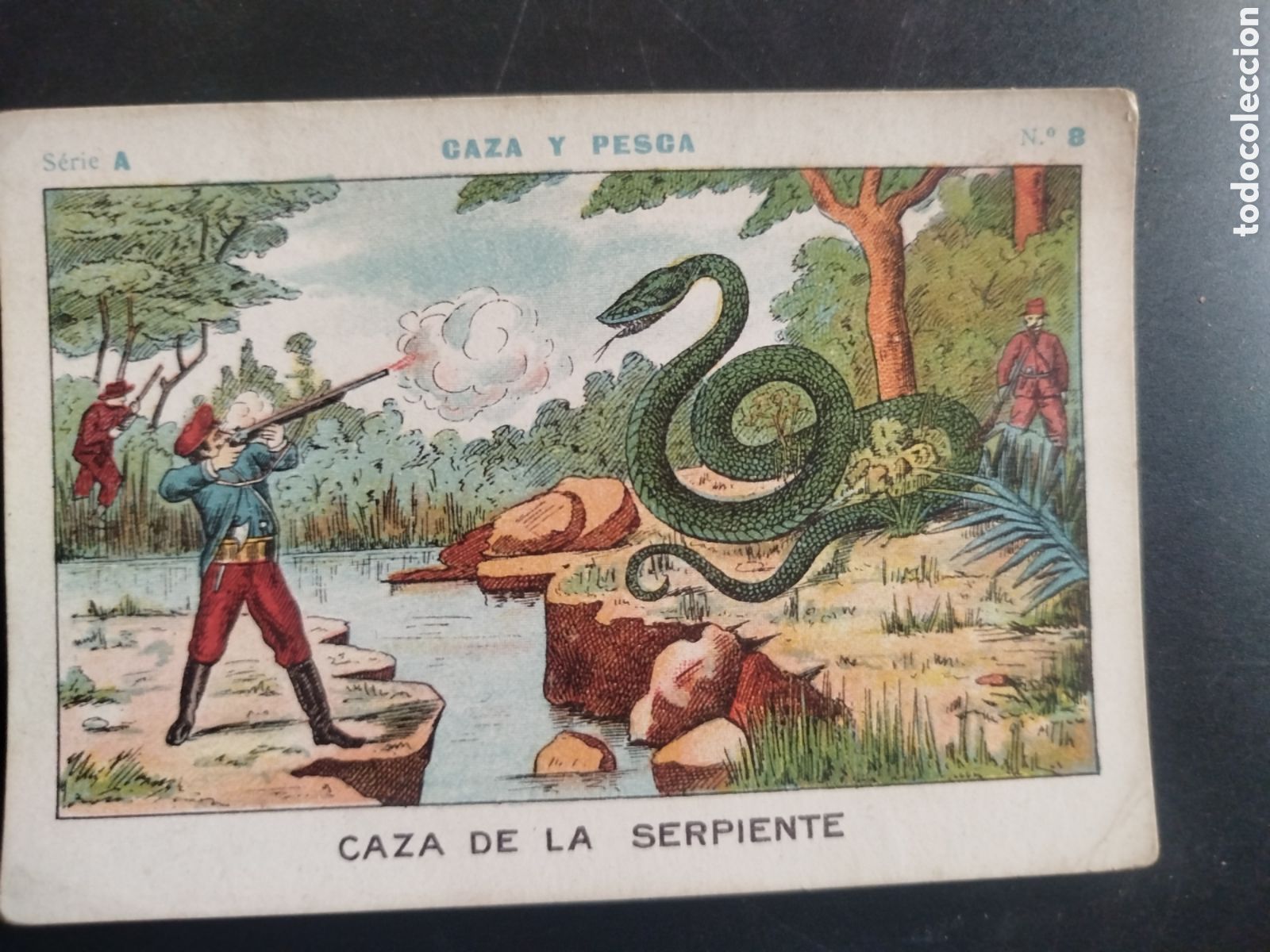 Coleccionismo cromos antiguos: Caza y pesca, serie A, n. 8, Barons y Artigas