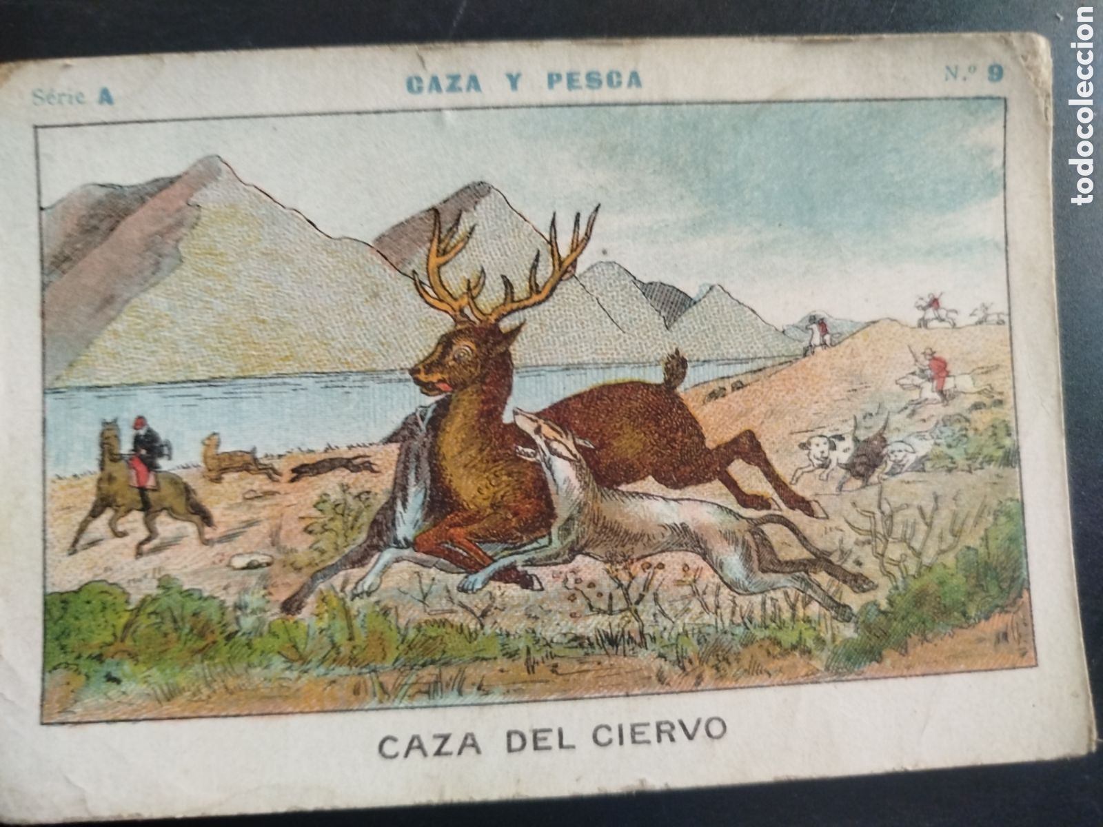 Coleccionismo cromos antiguos: Caza y pesca, serie A, n. 9, Barons y Artigas