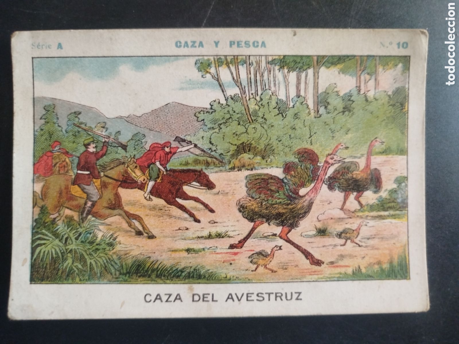 Coleccionismo cromos antiguos: Caza y pesca, serie A, n. 10, Barons y Artigas