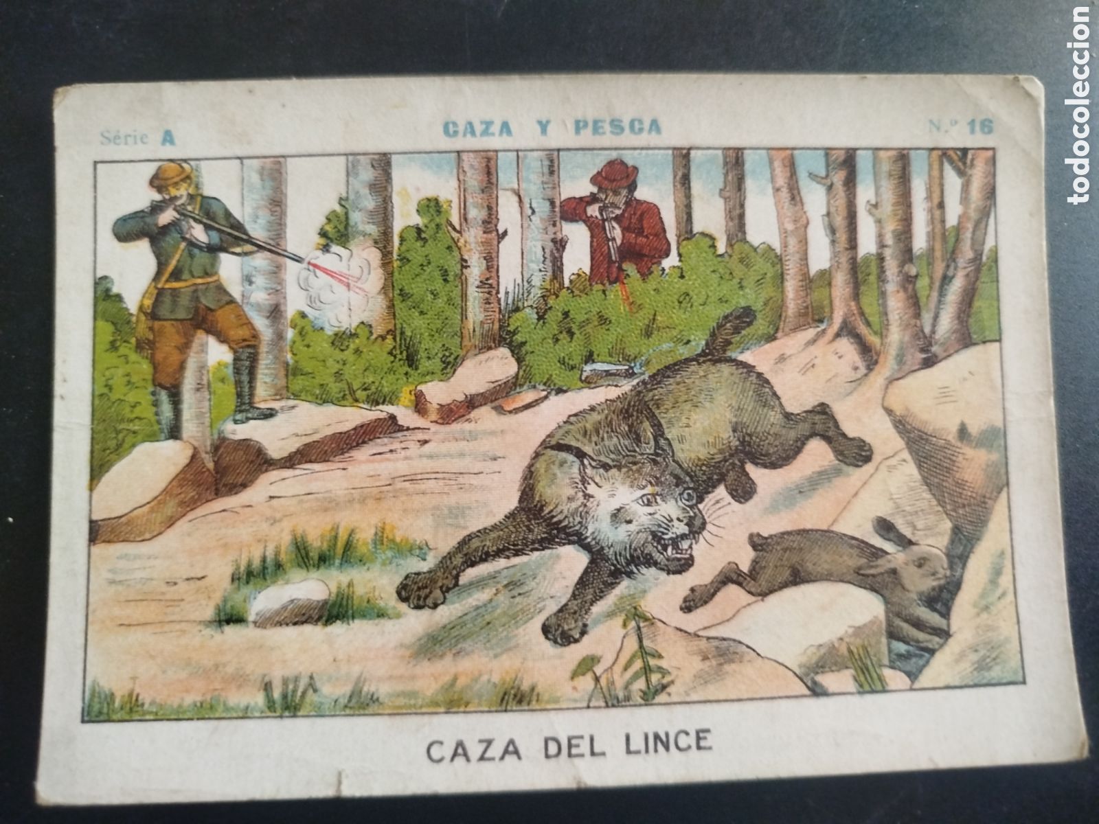 Coleccionismo cromos antiguos: Caza y pesca, serie A, n. 16, Barons y Artigas