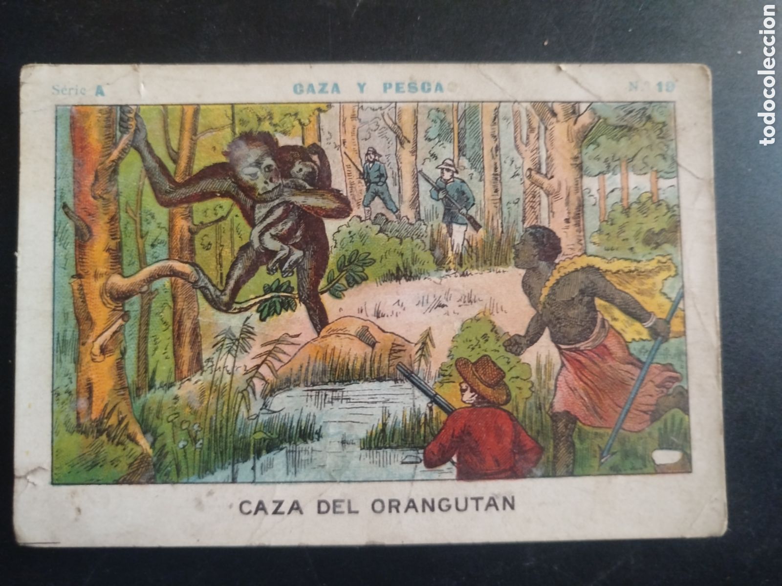 Coleccionismo cromos antiguos: Caza y pesca, serie A, n. 19, Barons y Artigas