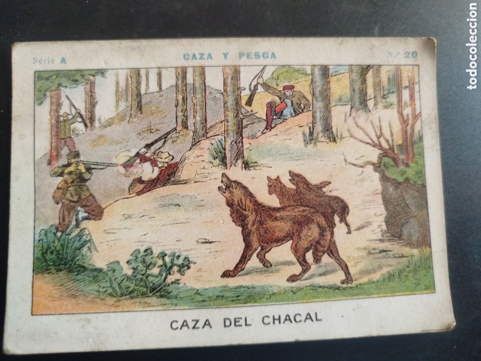 Coleccionismo cromos antiguos: Caza y pesca, serie A, n.20, Barons y Artigas