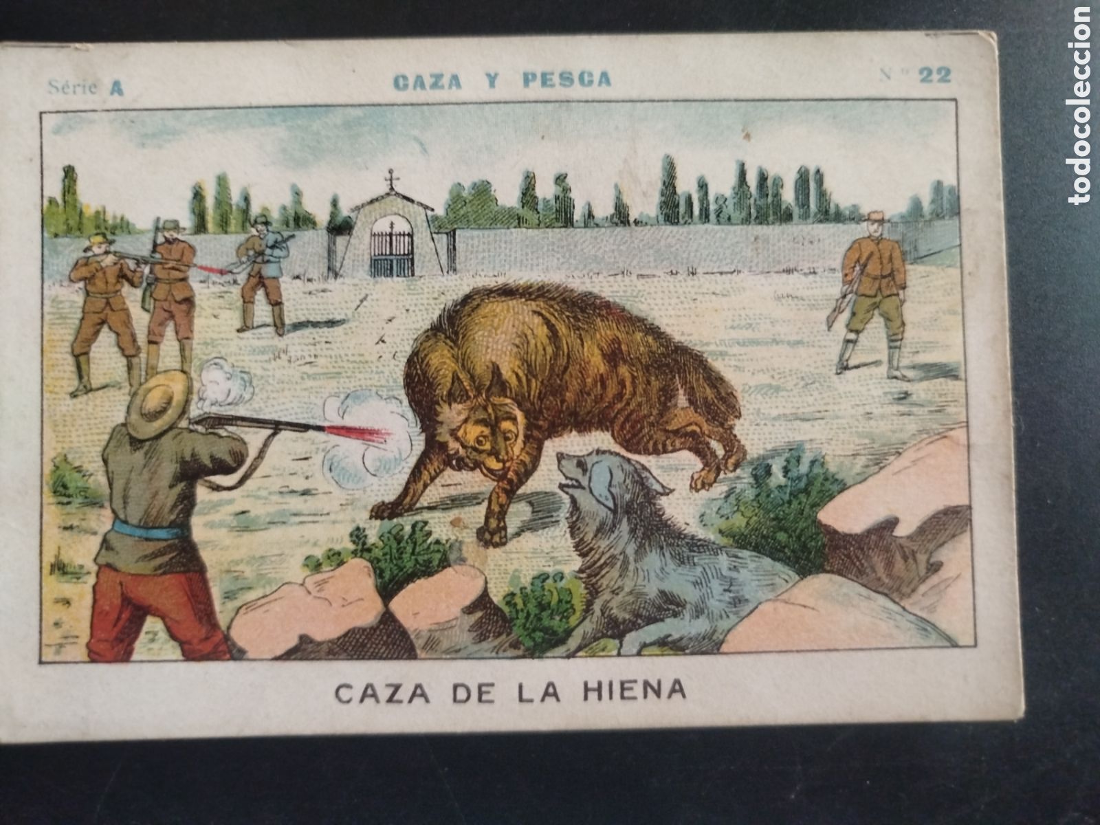 Coleccionismo cromos antiguos: Caza y pesca, serie A, n. 22, Barons y Artigas