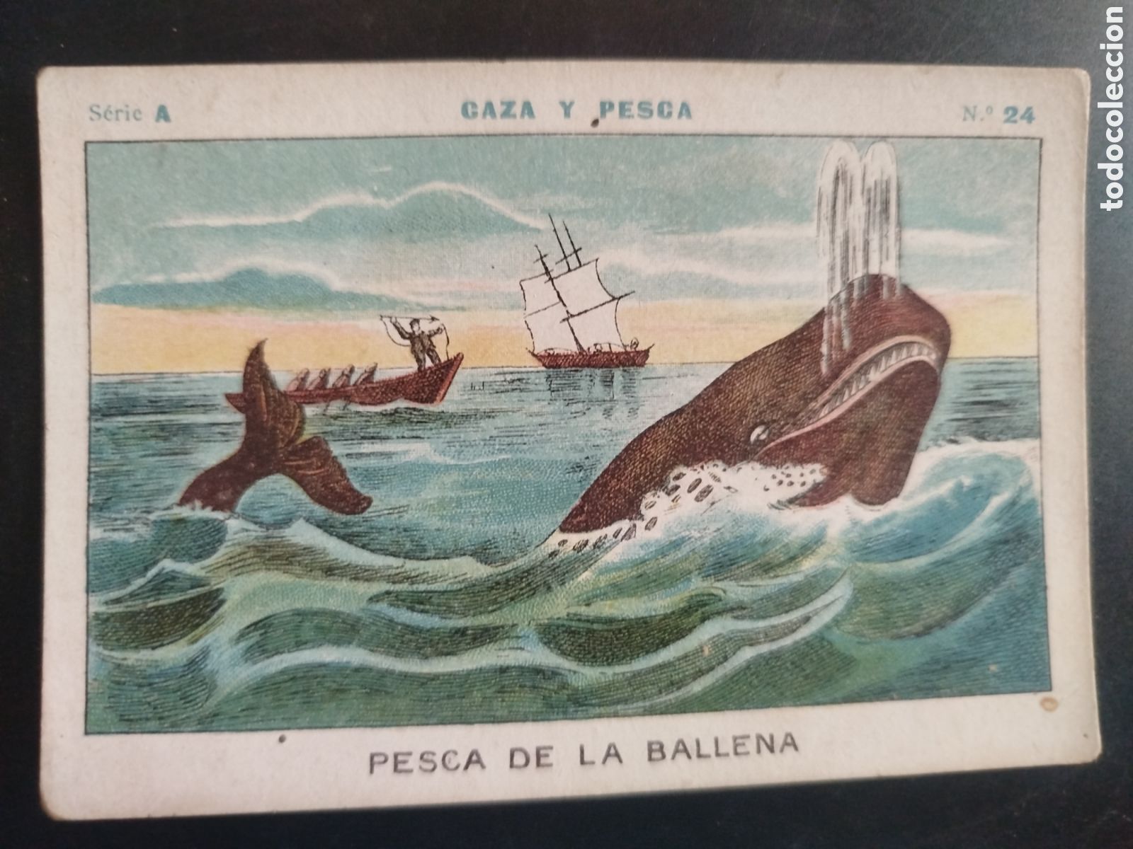 Coleccionismo cromos antiguos: Caza y pesca, serie A, n. 24, Barons y Artigas