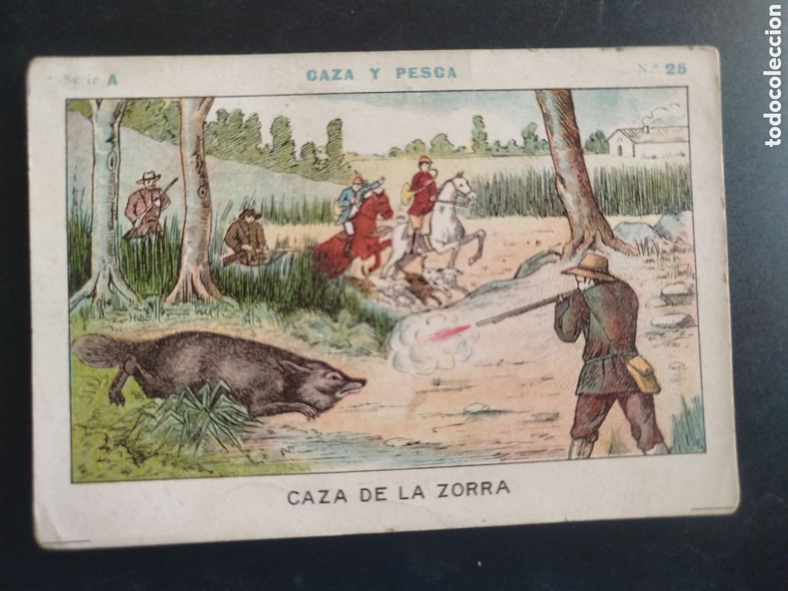 Coleccionismo cromos antiguos: Caza y pesca, serie A, n. 25, Barons y Artigas