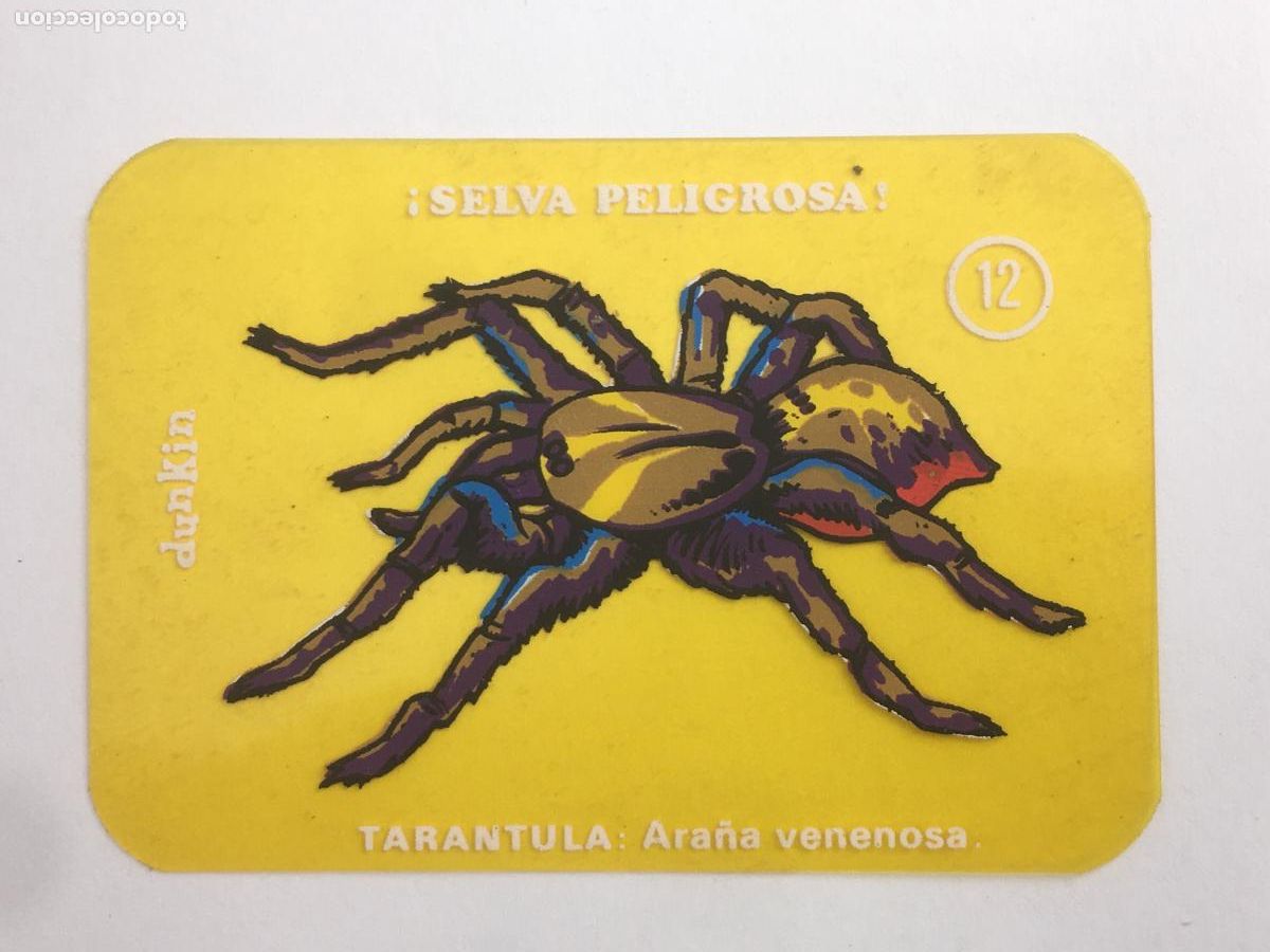 Coleccionismo cromos antiguos: dunkin selva peligrosa cromo n&ordm; 12 nunca pegado muy buen estado