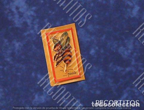 Collectable Antique Stickers: BOLLYCAO ETO PICA SIN TRASSERA
