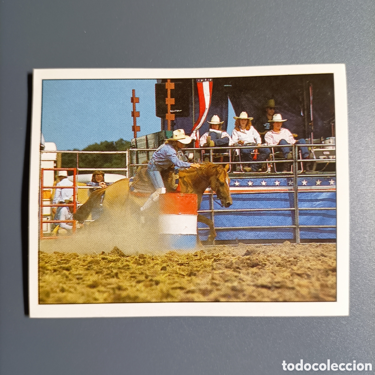 Coleccionismo cromos antiguos: CROMO Sticker. PANINI. Historias de Caballos - №156