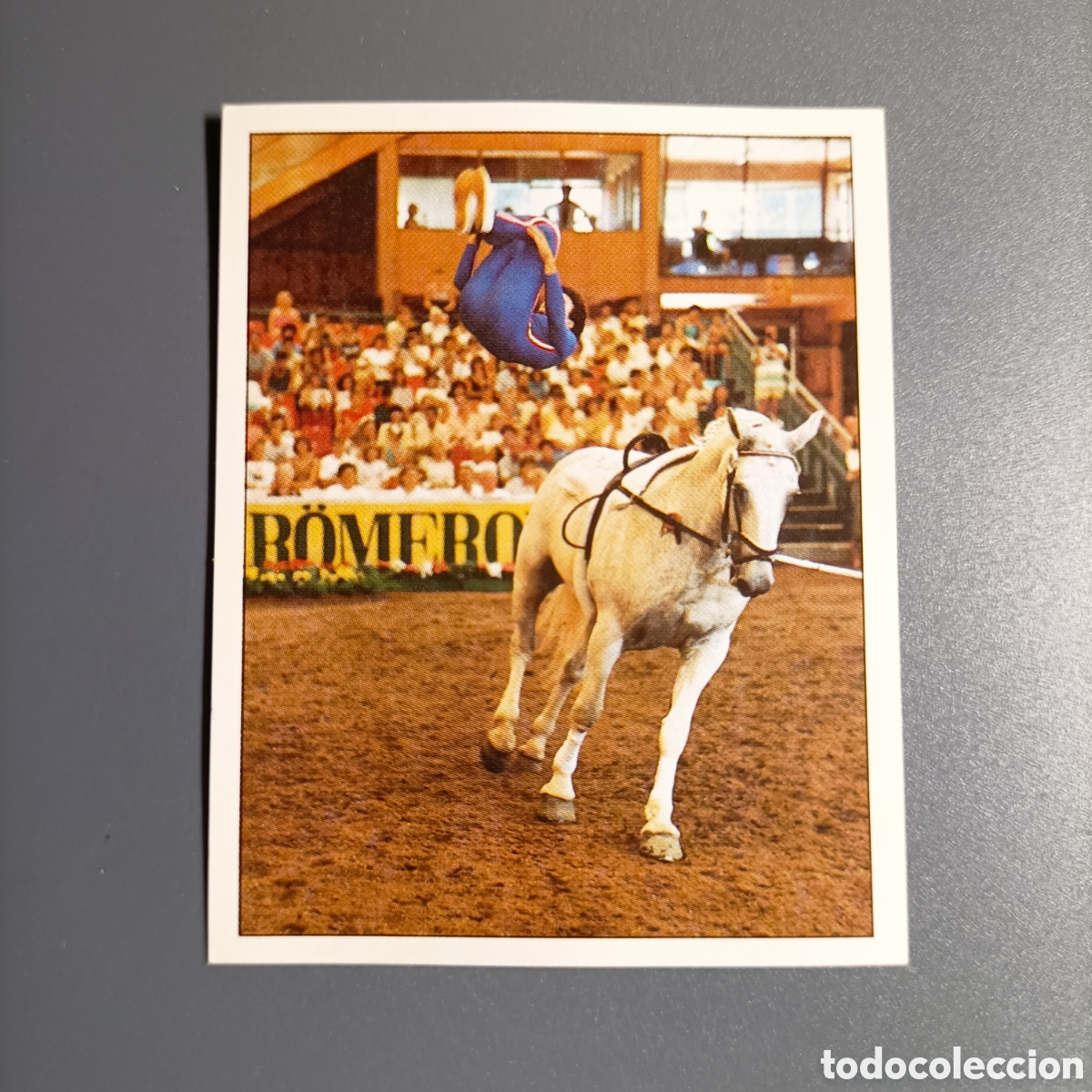 Coleccionismo cromos antiguos: CROMO Sticker. PANINI. Historias de Caballos - №155