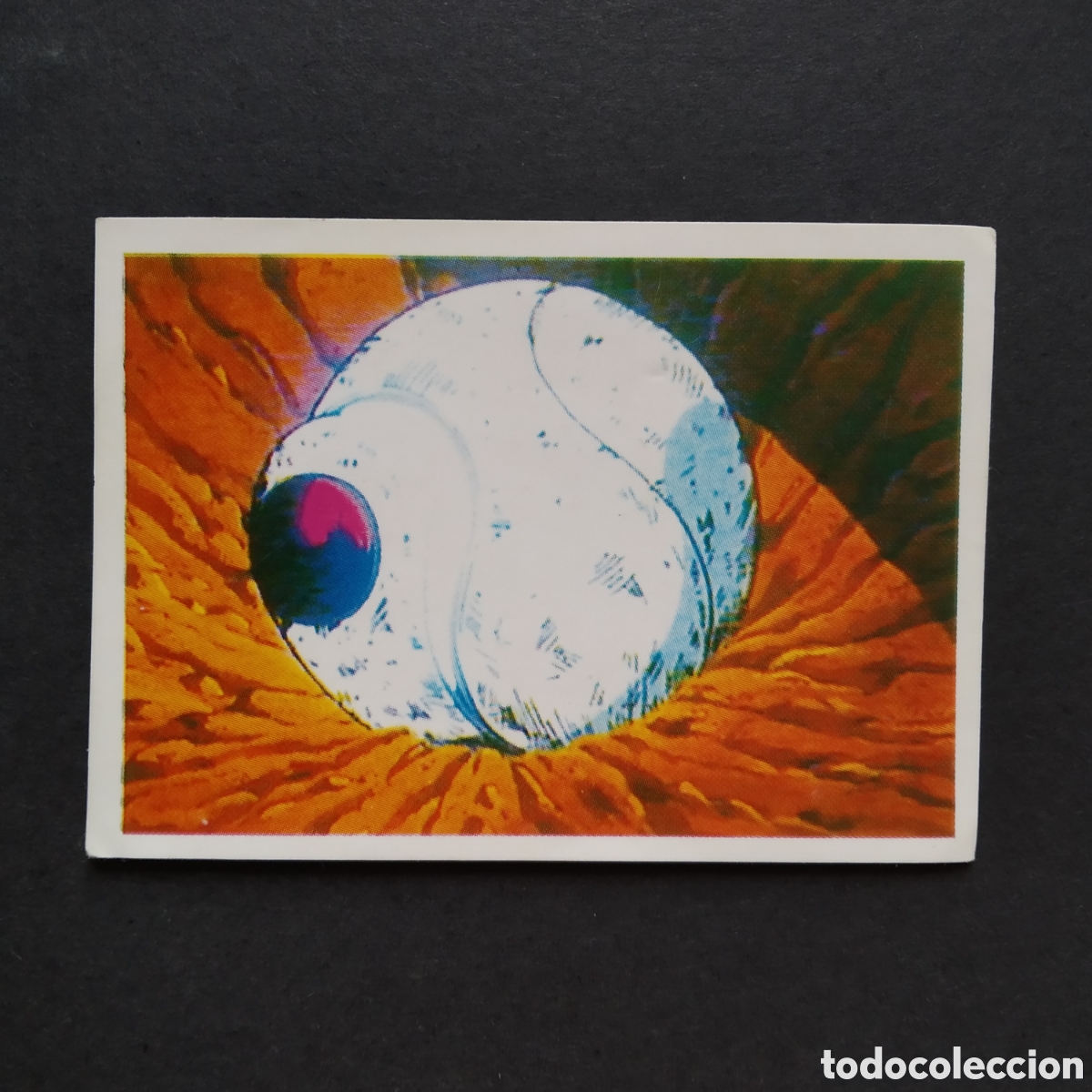 Sammeln alte Sammelbilder: CROMO - N&deg; 010 - DRAGON BALL Z - PANINI - A&Ntilde;O 1991