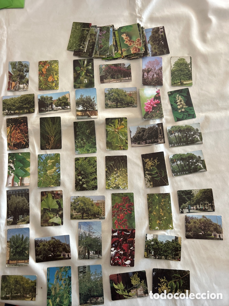 Collectionnisme Cartes &agrave; collectionner anciennes: Lote 80 cromos Colecci&oacute;n Arbres de Barcelona