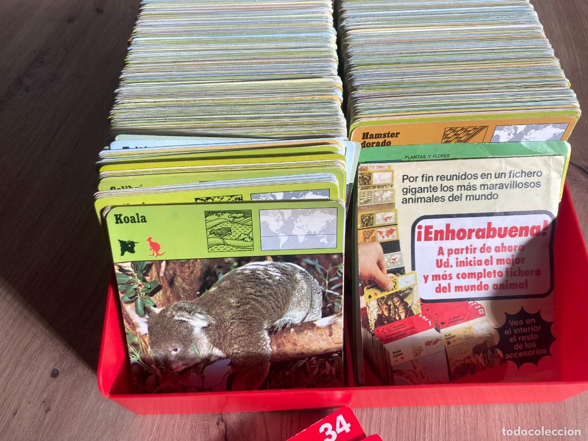 Collectionnisme Cartes &agrave; collectionner anciennes: Fichero Safari Club + 1000 fichas