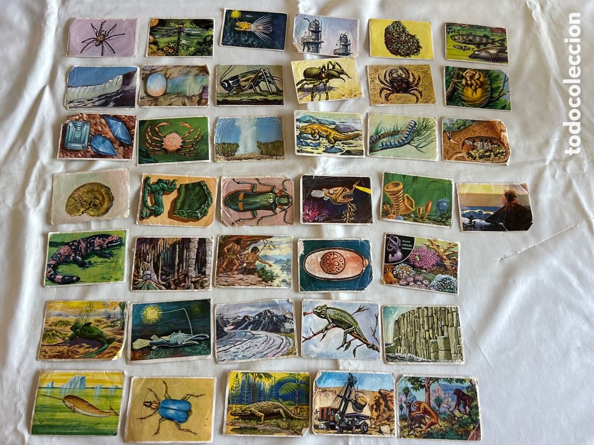 Coleccionismo cromos antiguos: Lote 39 cromos Historia Natural.Ed Bruguera.1967