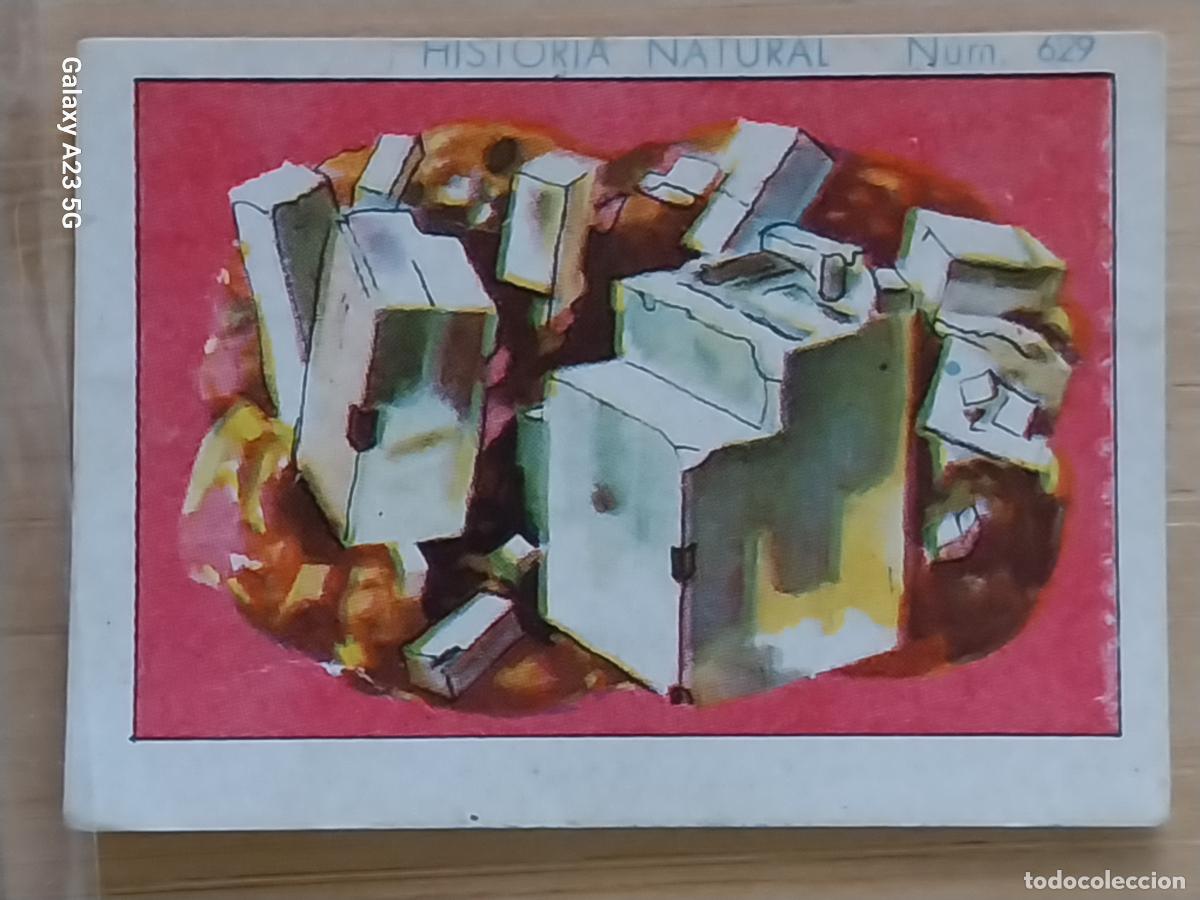 Coleccionismo cromos antiguos: SAL GEMA CHOCOLATES JUNCOSA LA CHOCOLATERA ---- A&Ntilde;O 1935 CROMO 627 4.5X3.5CMS HISTORIA NATURAL