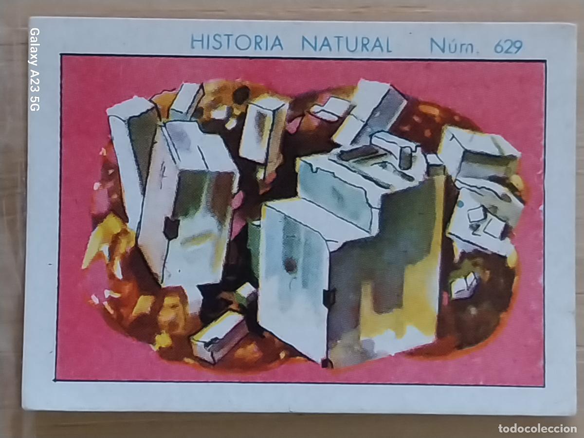 Coleccionismo cromos antiguos: SAL GEMA CHOCOLATES JUNCOSA LA CHOCOLATERA --- A&Ntilde;O 1935 CROMO 627 4.5X3.5CMS HISTORIA NATURAL