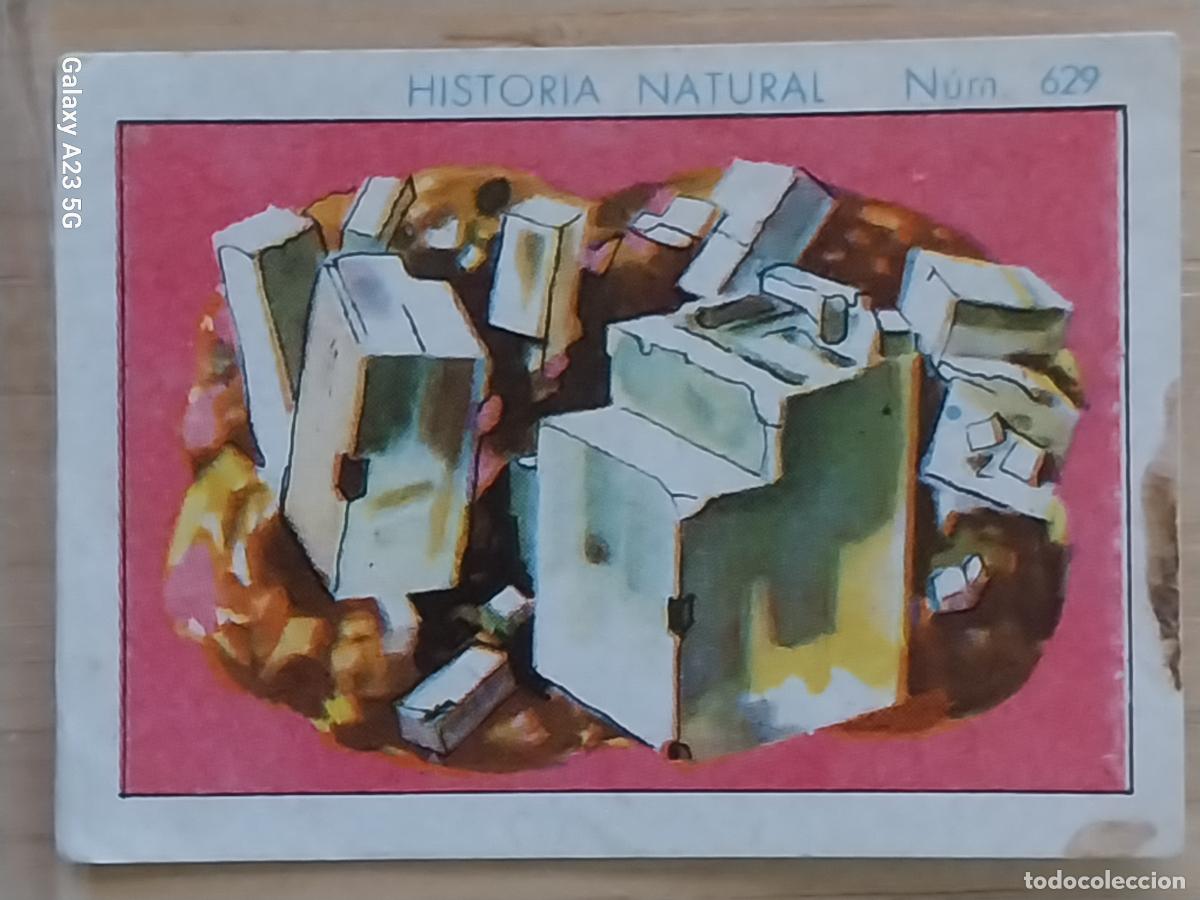 Coleccionismo cromos antiguos: SAL GEMA CHOCOLATES JUNCOSA LA CHOCOLATERA -- A&Ntilde;O 1935 CROMO 627 4.5X3.5CMS HISTORIA NATURAL