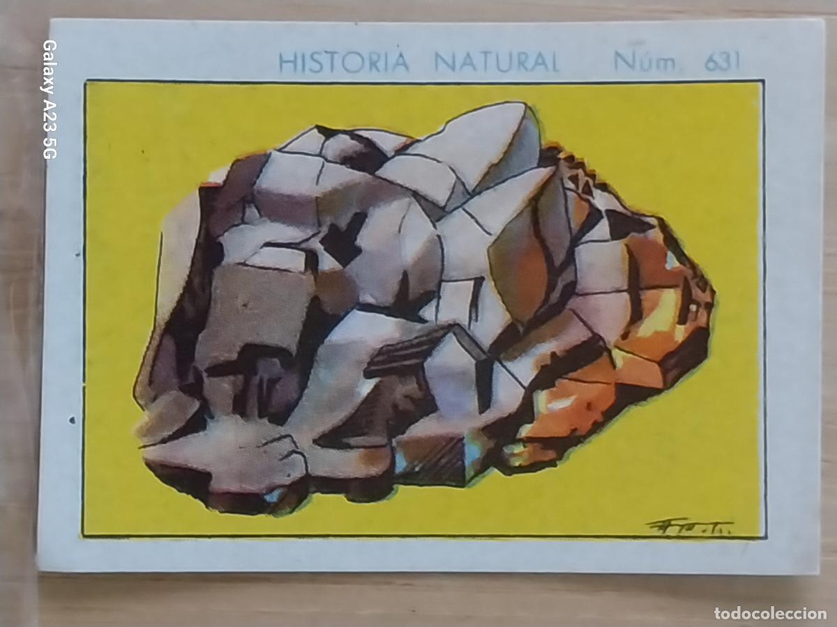 Coleccionismo cromos antiguos: GALENA CHOCOLATES JUNCOSA LA CHOCOLATERA ******** A&Ntilde;O 1935 CROMO 631 4.5X3.5CMS HISTORIA NATURAL