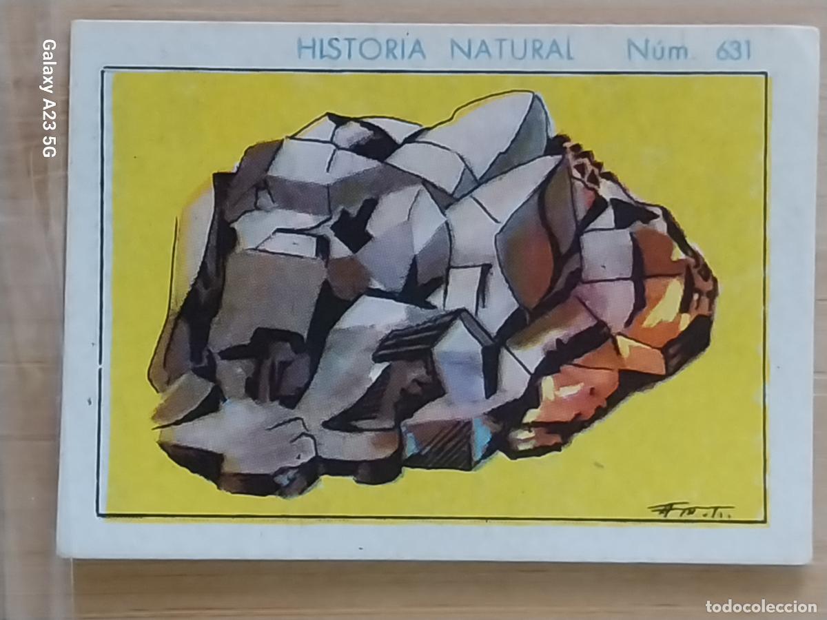 Coleccionismo cromos antiguos: GALENA CHOCOLATES JUNCOSA LA CHOCOLATERA ******* A&Ntilde;O 1935 CROMO 631 4.5X3.5CMS HISTORIA NATURAL