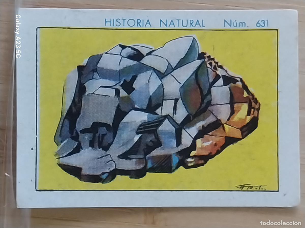 Coleccionismo cromos antiguos: GALENA CHOCOLATES JUNCOSA LA CHOCOLATERA ****** A&Ntilde;O 1935 CROMO 631 4.5X3.5CMS HISTORIA NATURAL