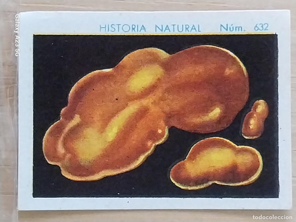 Coleccionismo cromos antiguos: ORO NATIVO CHOCOLATES JUNCOSA LA CHOCOLATERA ***** A&Ntilde;O 1935 CROMO 632 4.5X3.5CMS HISTORIA NATURAL