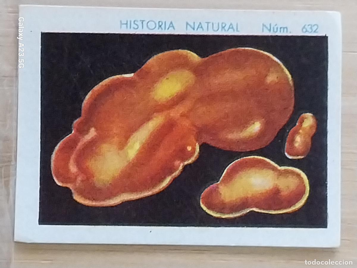 Coleccionismo cromos antiguos: ORO NATIVO CHOCOLATES JUNCOSA LA CHOCOLATERA **** A&Ntilde;O 1935 CROMO 632 4.5X3.5CMS HISTORIA NATURAL