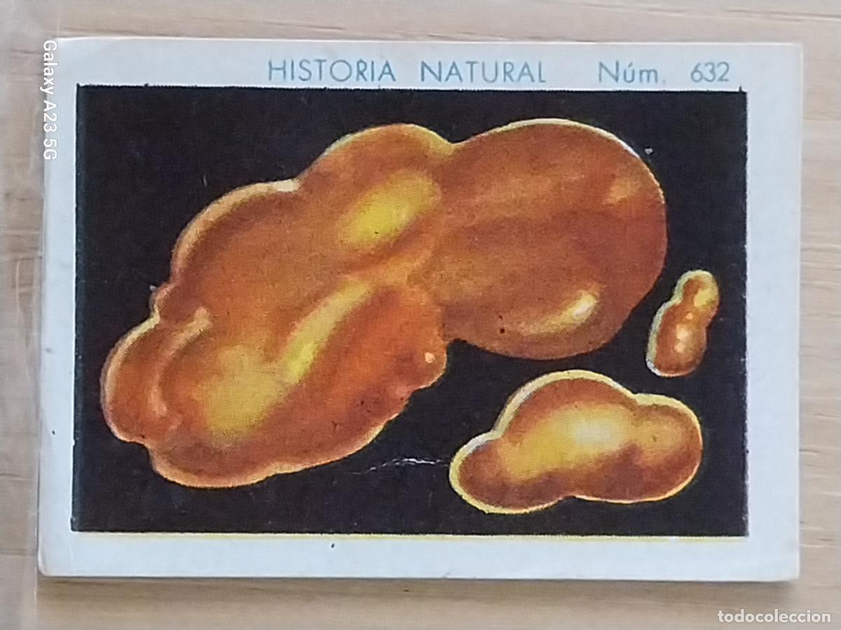 Coleccionismo cromos antiguos: ORO NATIVO CHOCOLATES JUNCOSA LA CHOCOLATERA *** A&Ntilde;O 1935 CROMO 632 4.5X3.5CMS HISTORIA NATURAL