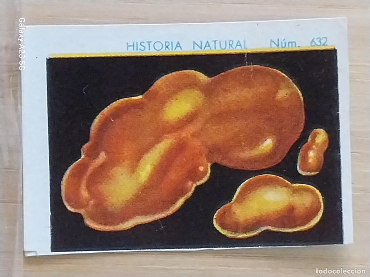 Coleccionismo cromos antiguos: ORO NATIVO CHOCOLATES JUNCOSA LA CHOCOLATERA ** A&Ntilde;O 1935 CROMO 632 4.5X3.5CMS HISTORIA NATURAL