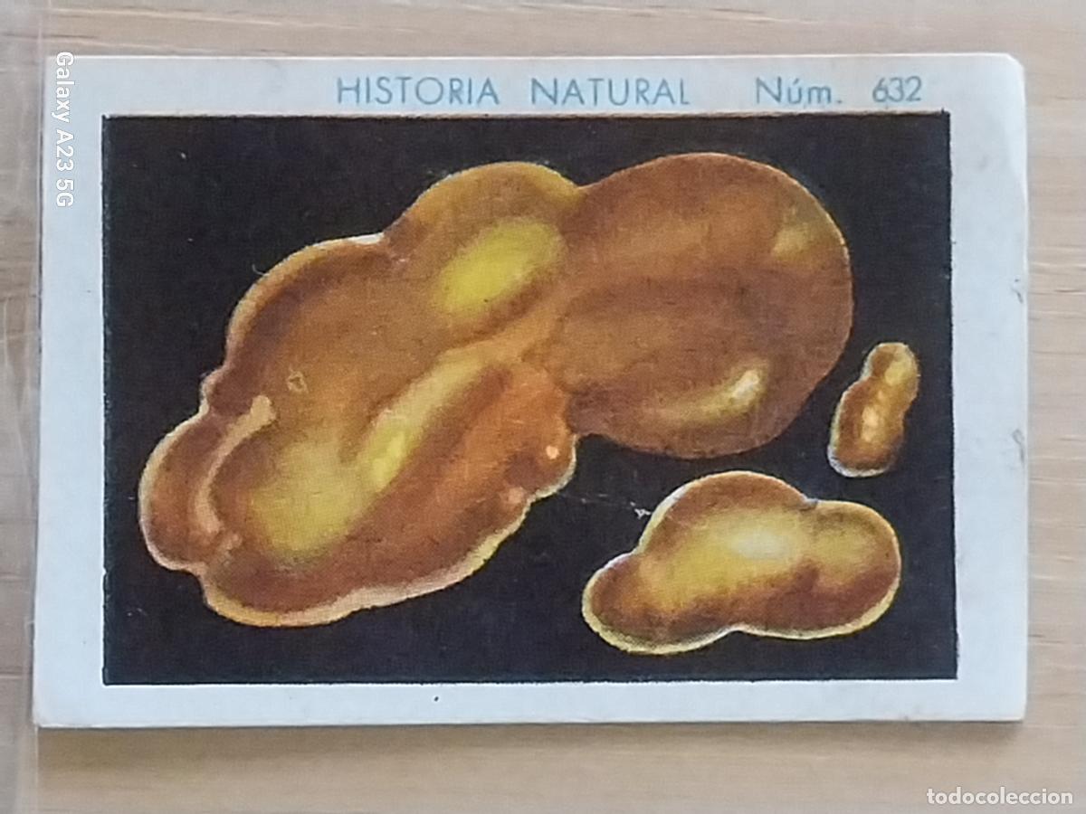 Coleccionismo cromos antiguos: ORO NATIVO CHOCOLATES JUNCOSA LA CHOCOLATERA * A&Ntilde;O 1935 CROMO 632 4.5X3.5CMS HISTORIA NATURAL