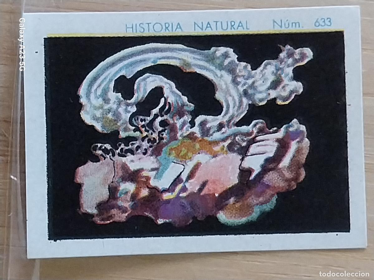 Coleccionismo cromos antiguos: PLATA CHOCOLATES JUNCOSA LA CHOCOLATERA ****** A&Ntilde;O 1935 CROMO 632 4.5X3.5CMS HISTORIA NATURAL