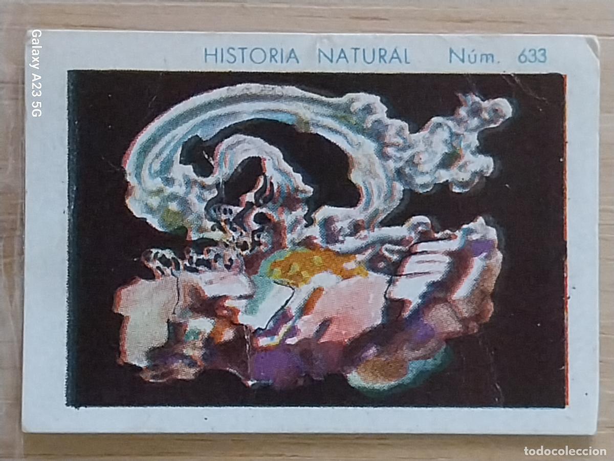 Coleccionismo cromos antiguos: PLATA CHOCOLATES JUNCOSA LA CHOCOLATERA *** A&Ntilde;O 1935 CROMO 632 4.5X3.5CMS HISTORIA NATURAL