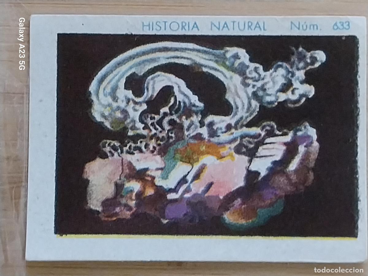 Coleccionismo cromos antiguos: PLATA CHOCOLATES JUNCOSA LA CHOCOLATERA ** A&Ntilde;O 1935 CROMO 632 4.5X3.5CMS HISTORIA NATURAL